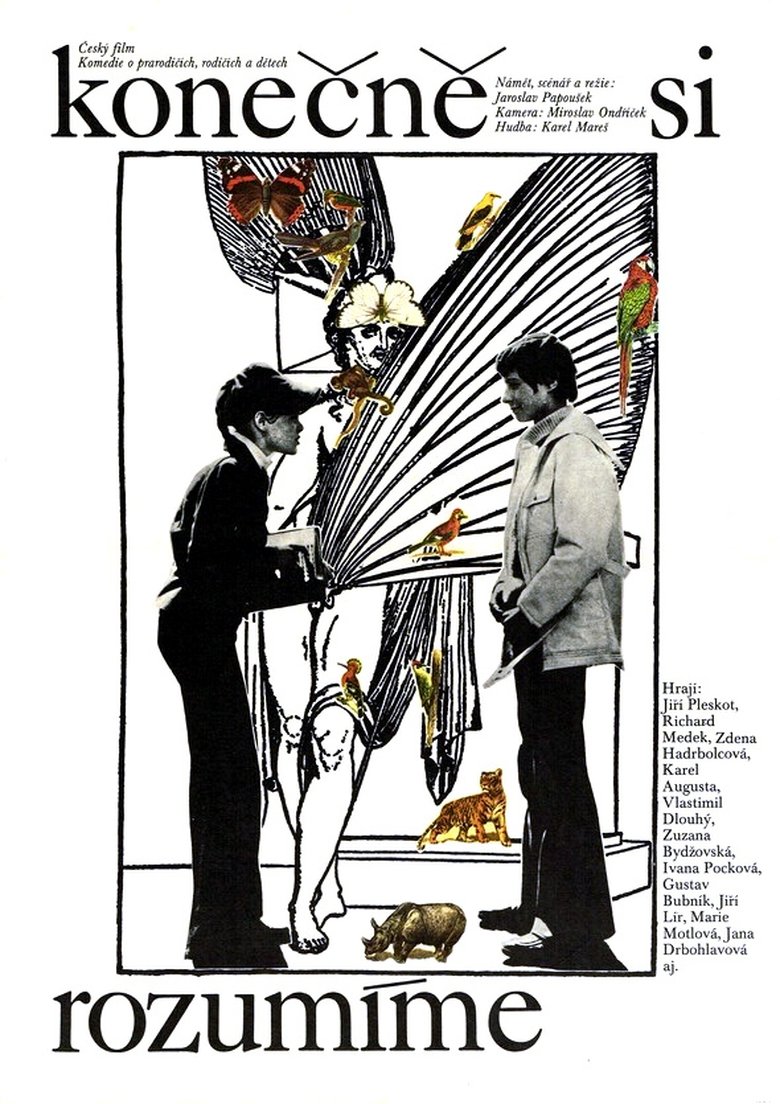 Poster of Konečně si rozumíme