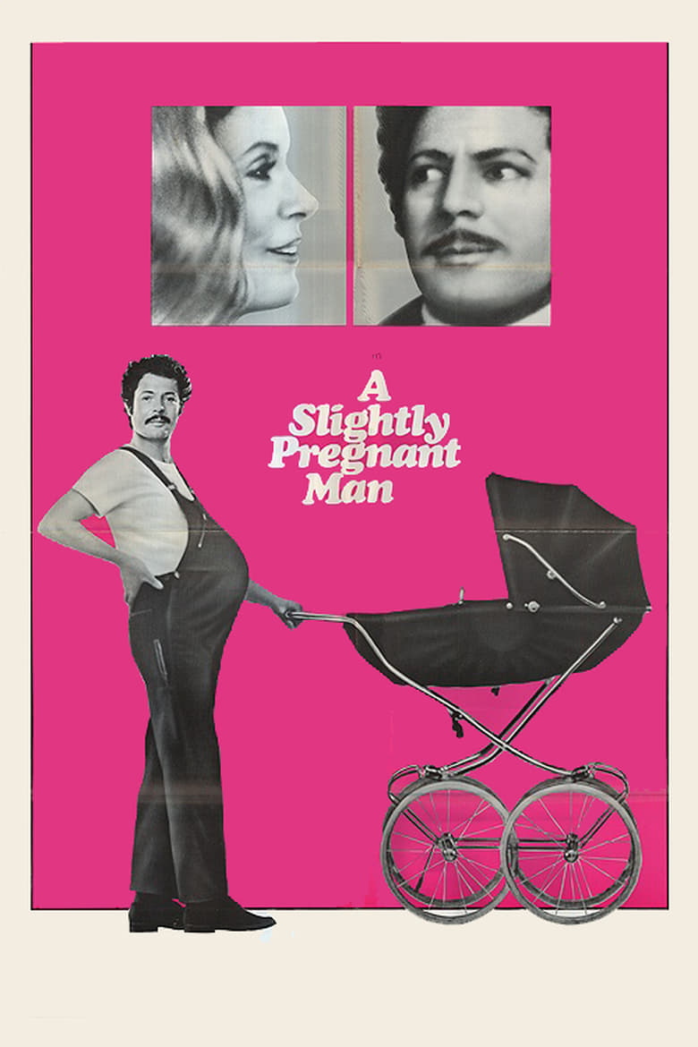 Poster of A Slightly Pregnant Man