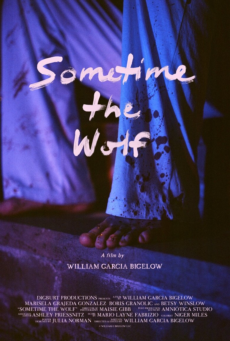 Poster of Sometime the Wolf