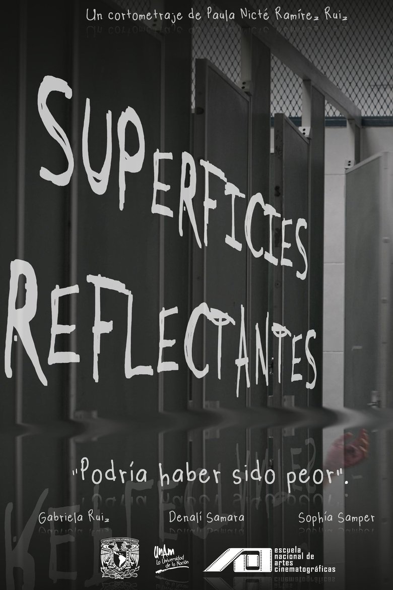 Poster of Reflective Surfaces