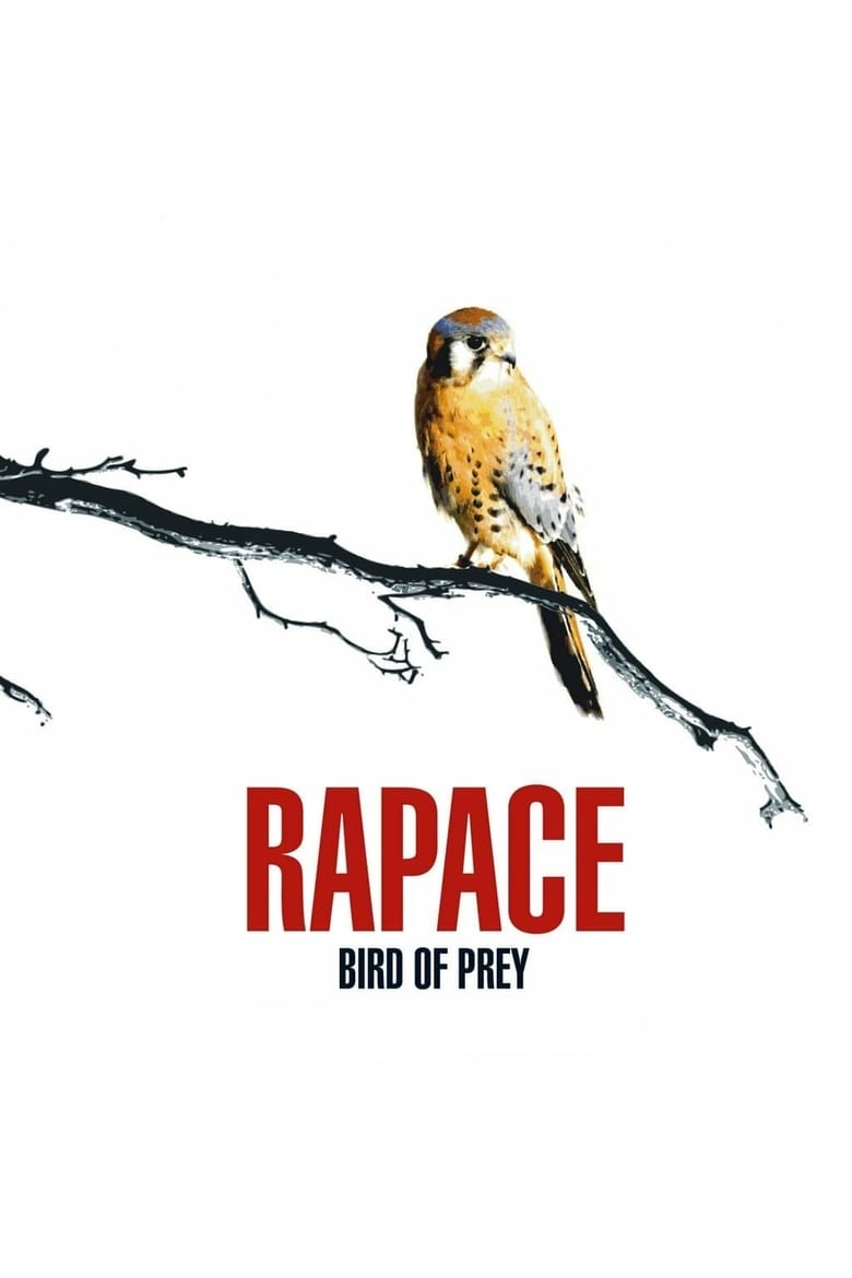 Poster of Bird of Prey