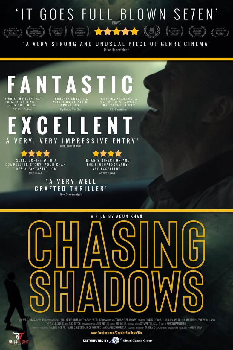 Poster of Chasing Shadows