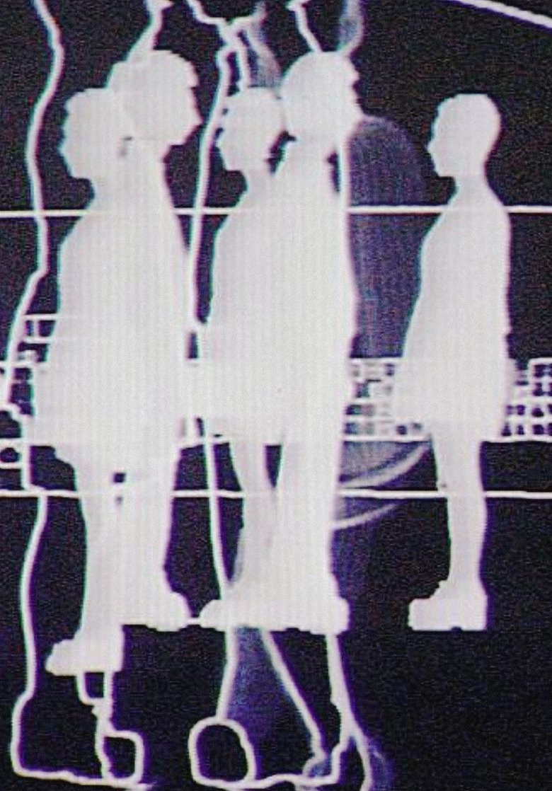 Poster of Crossings and Meetings