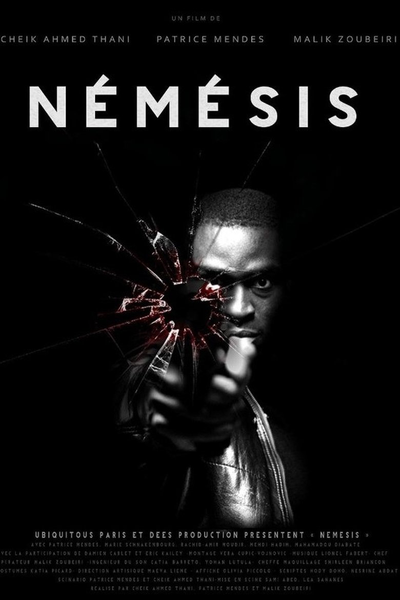 Poster of Némésis