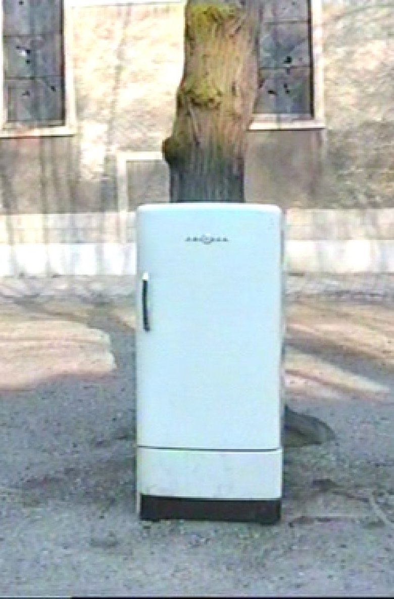 Poster of Stoning the Refrigerator