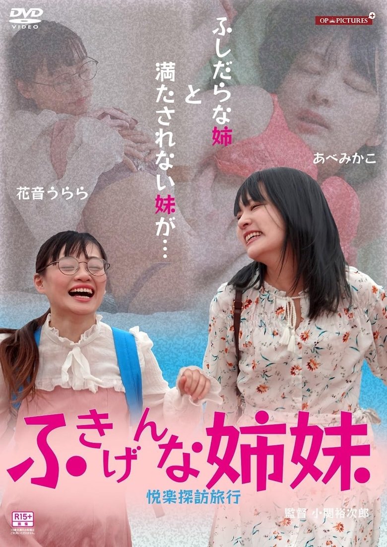 Poster of The Grumpy Sisters - Pleasure-Seeking Trip
