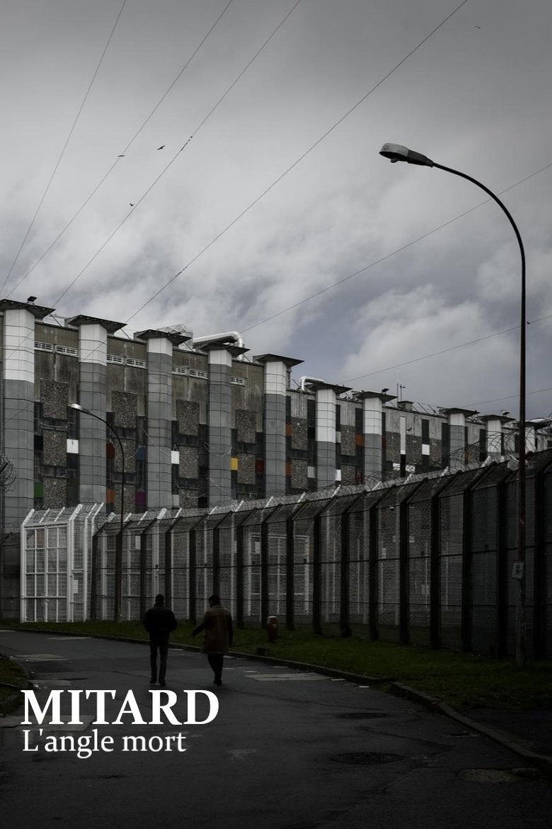 Poster of Deaths in Solitary Confinement: The Prison System's Blind Spot