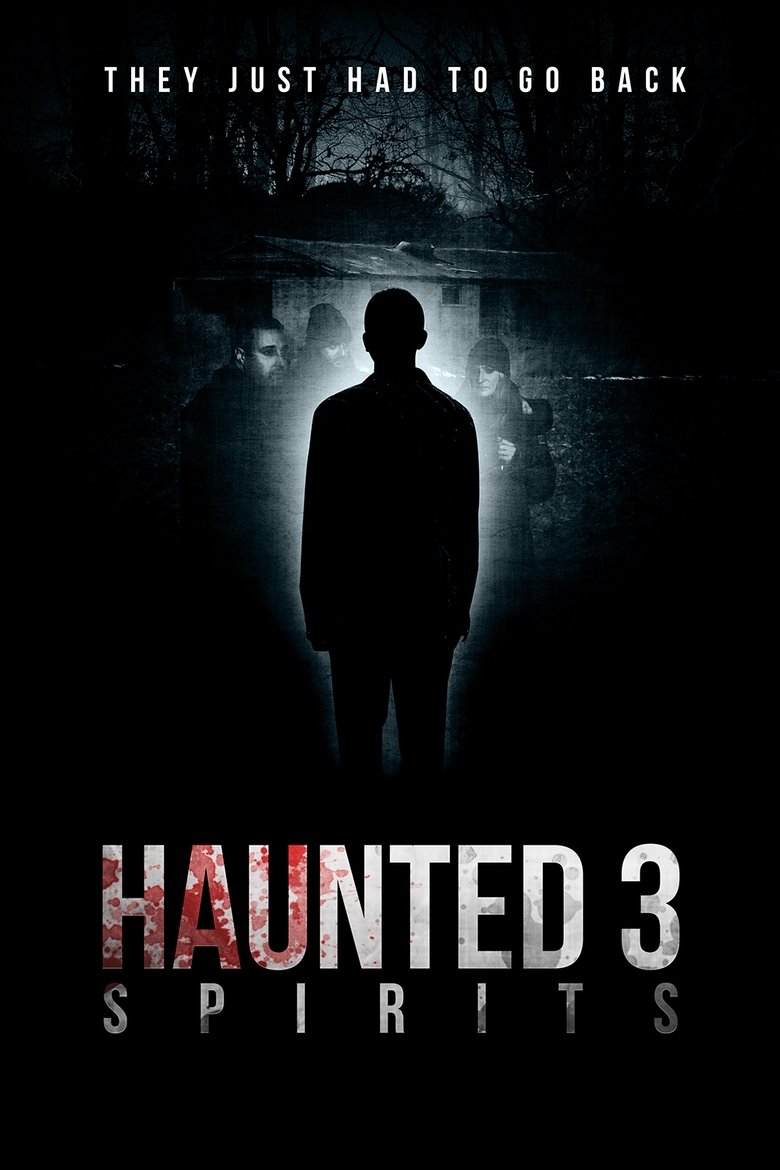 Poster of Haunted 3: Spirits