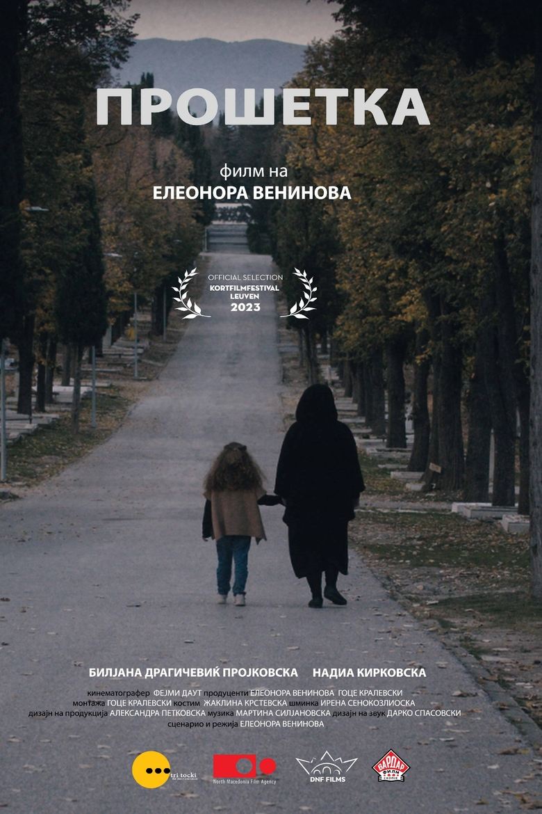 Poster of The Walk