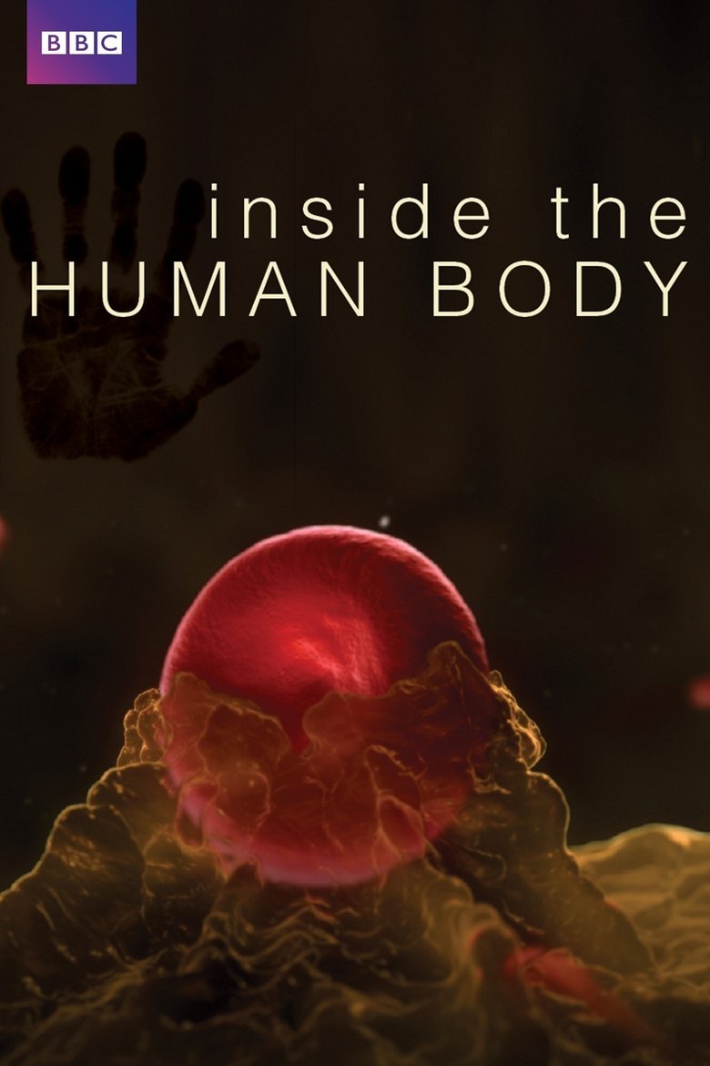 Poster of Inside the Human Body