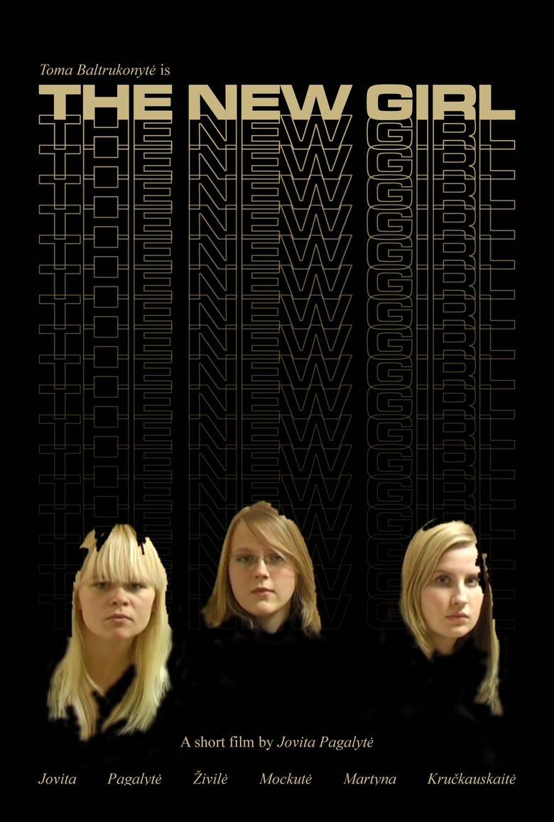 Poster of The New Girl