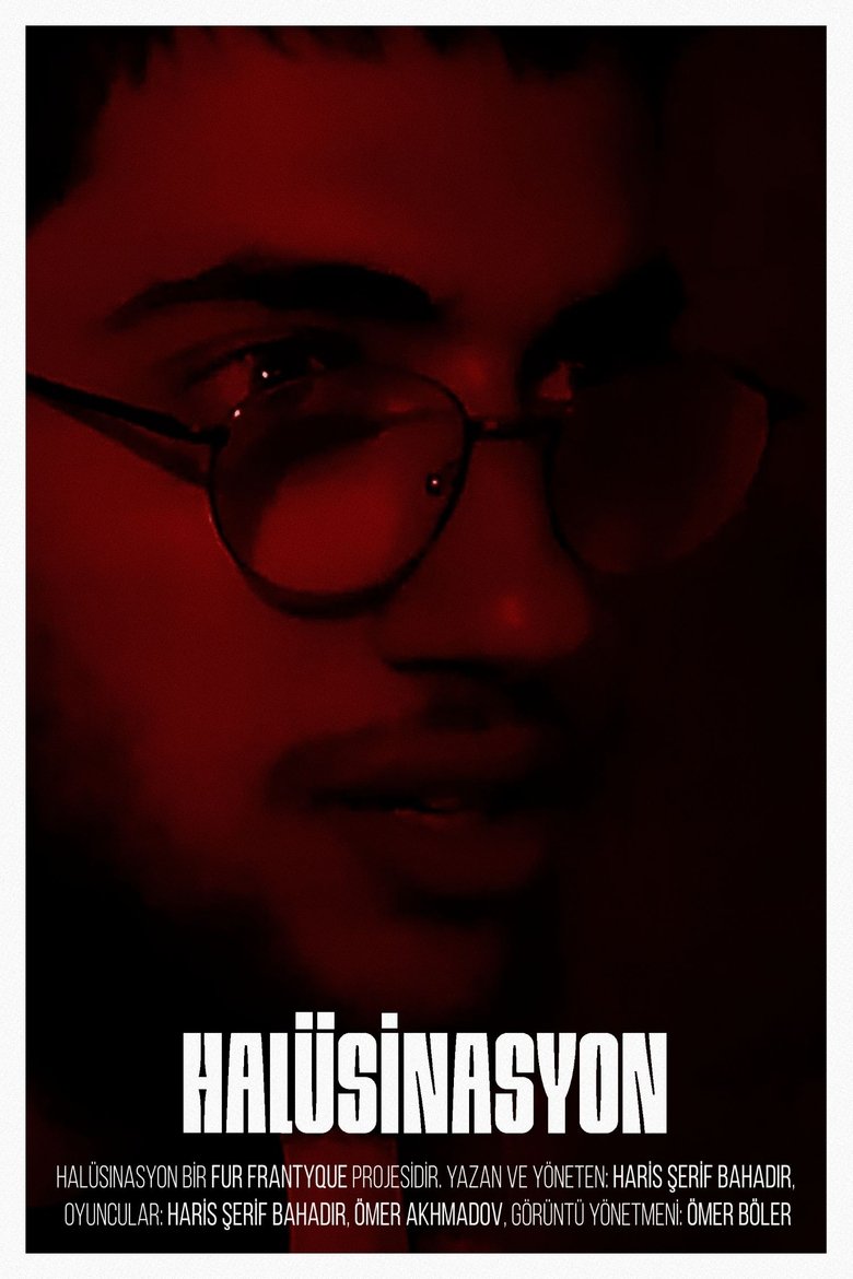 Poster of The Hallucination