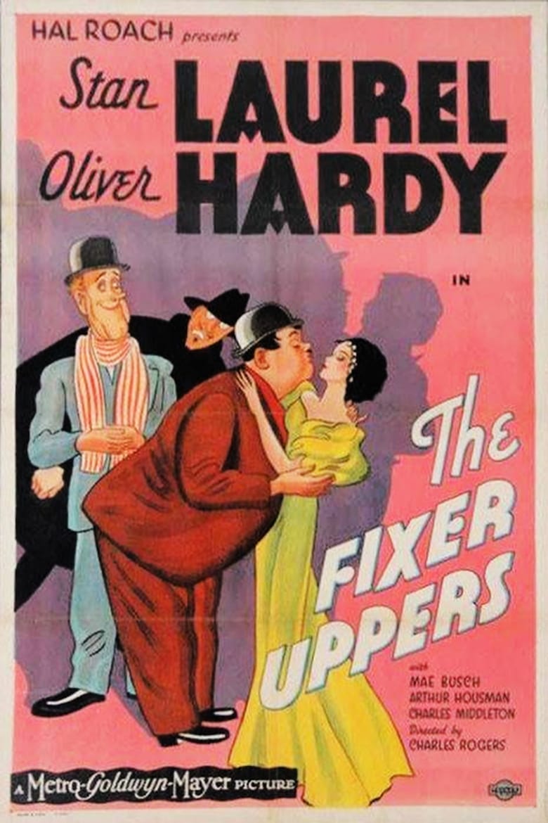 Poster of The Fixer Uppers