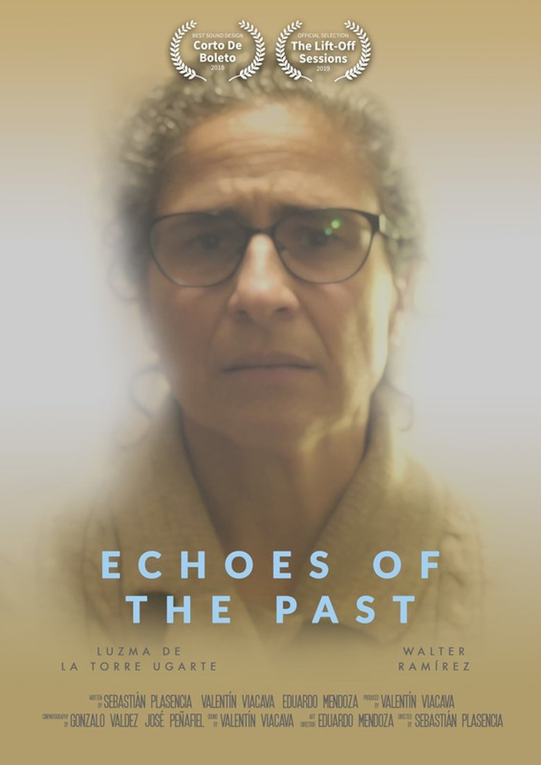 Poster of Echoes Of The Past