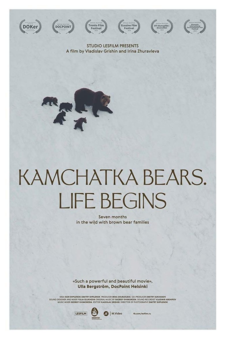 Poster of Kamchatka Bears. Life Begins