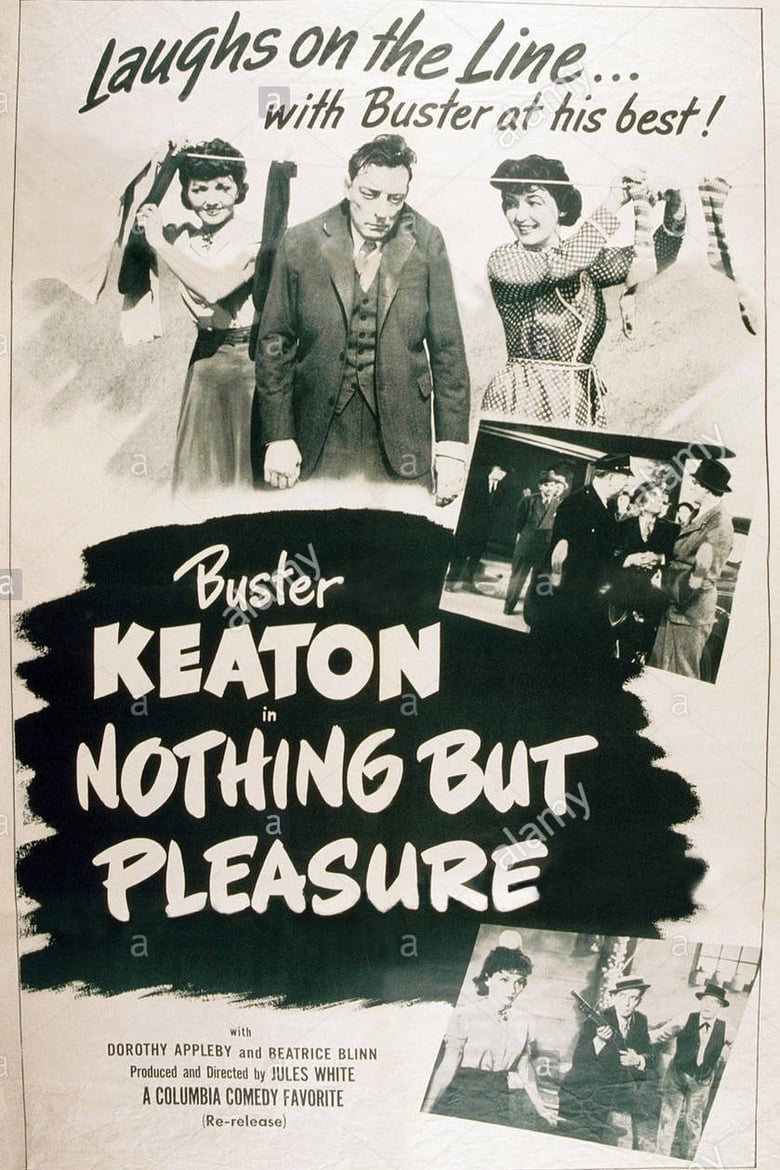 Poster of Nothing But Pleasure