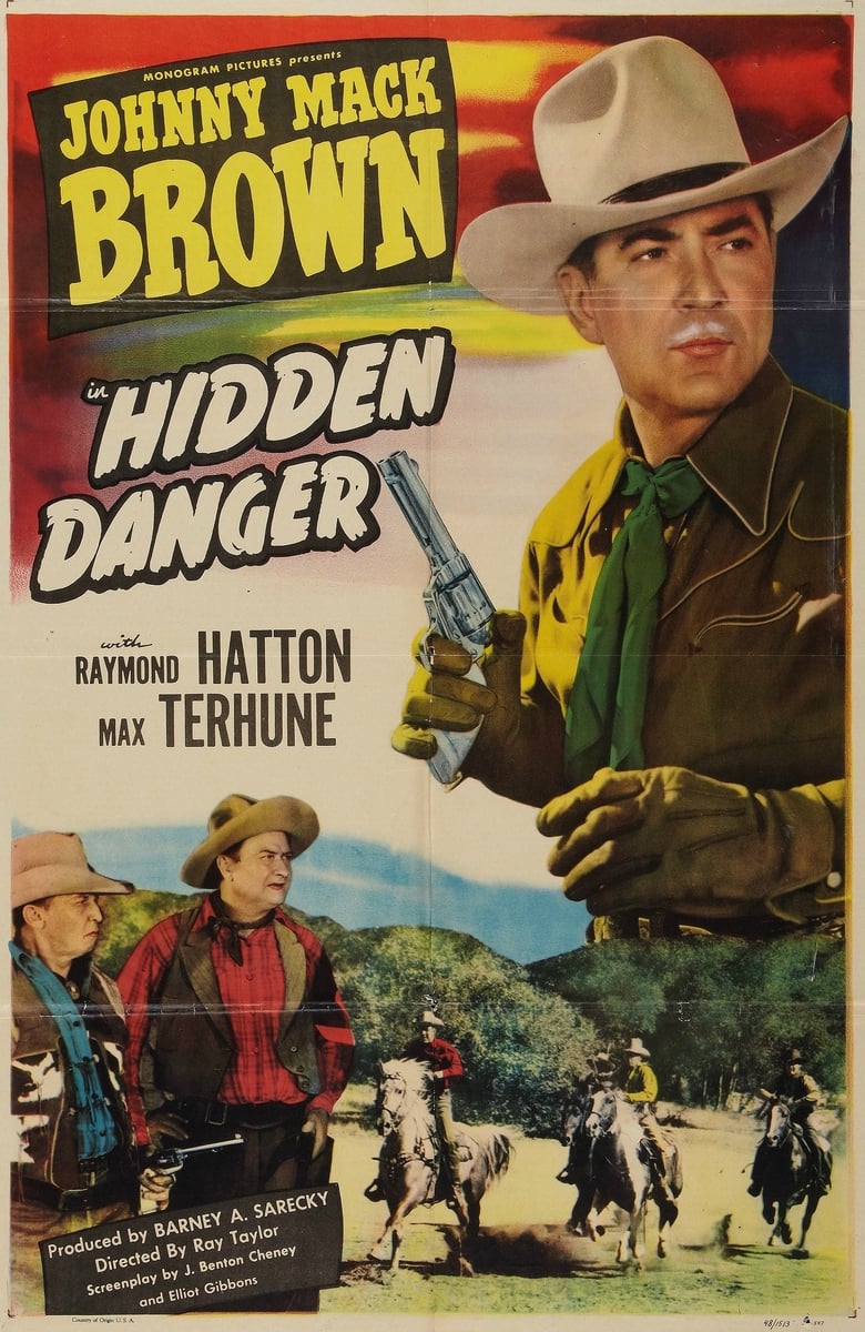 Poster of Hidden Danger