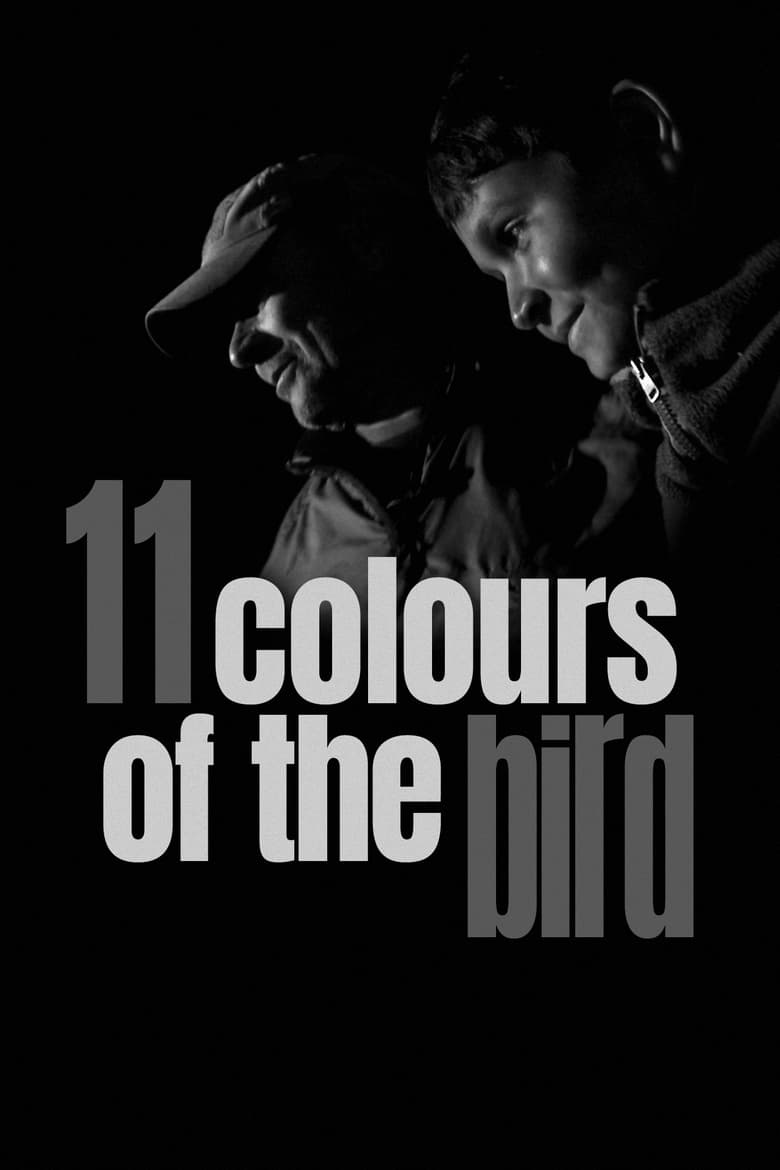 Poster of 11 Colours of the Bird