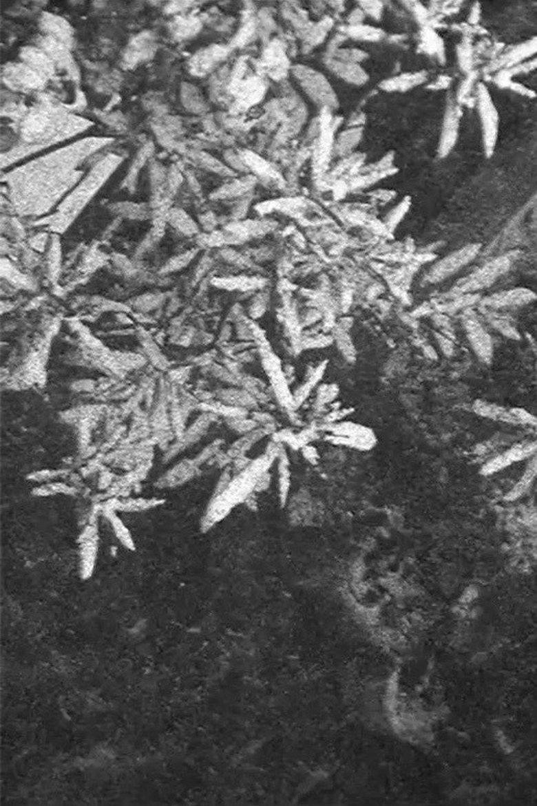 Poster of Configuration in Black and White