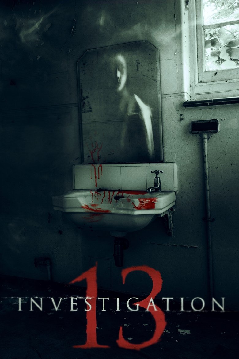 Poster of Investigation 13