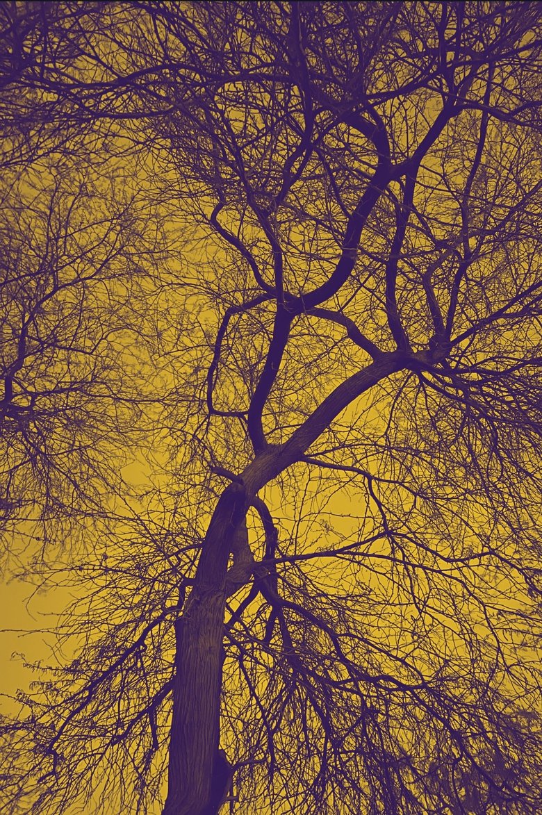 Poster of Darkness above and below, laying on the bliss