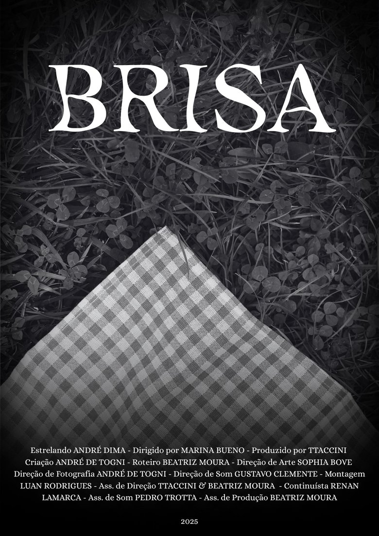 Poster of Brisa
