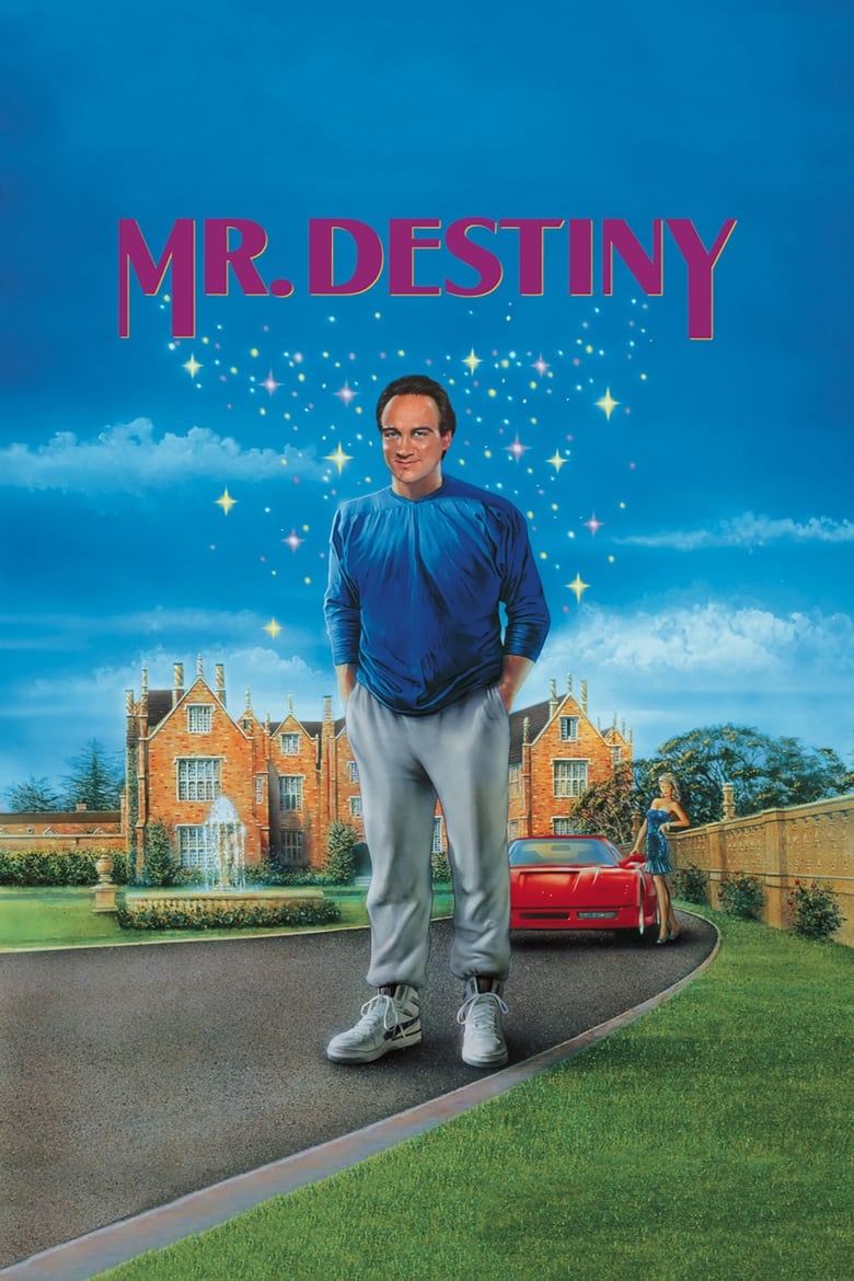 Poster of Mr. Destiny