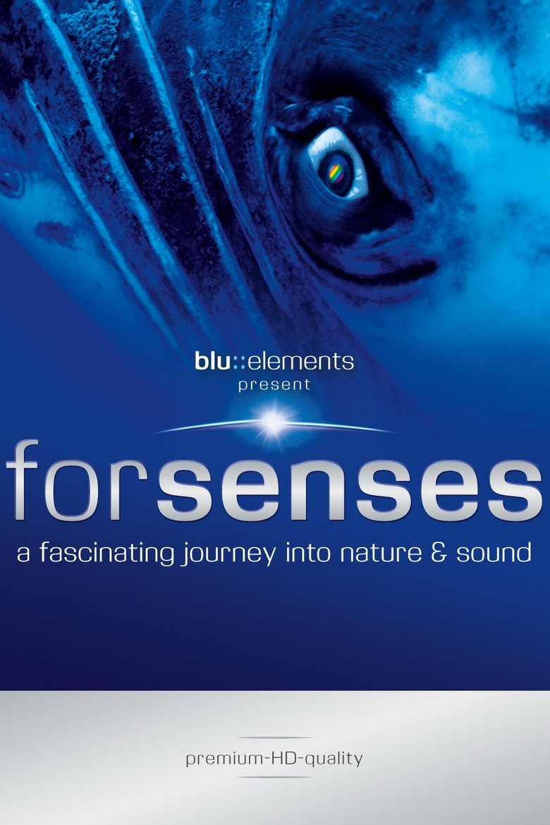 Poster of Forsenses - A Fascinating Journey into Nature & Sound