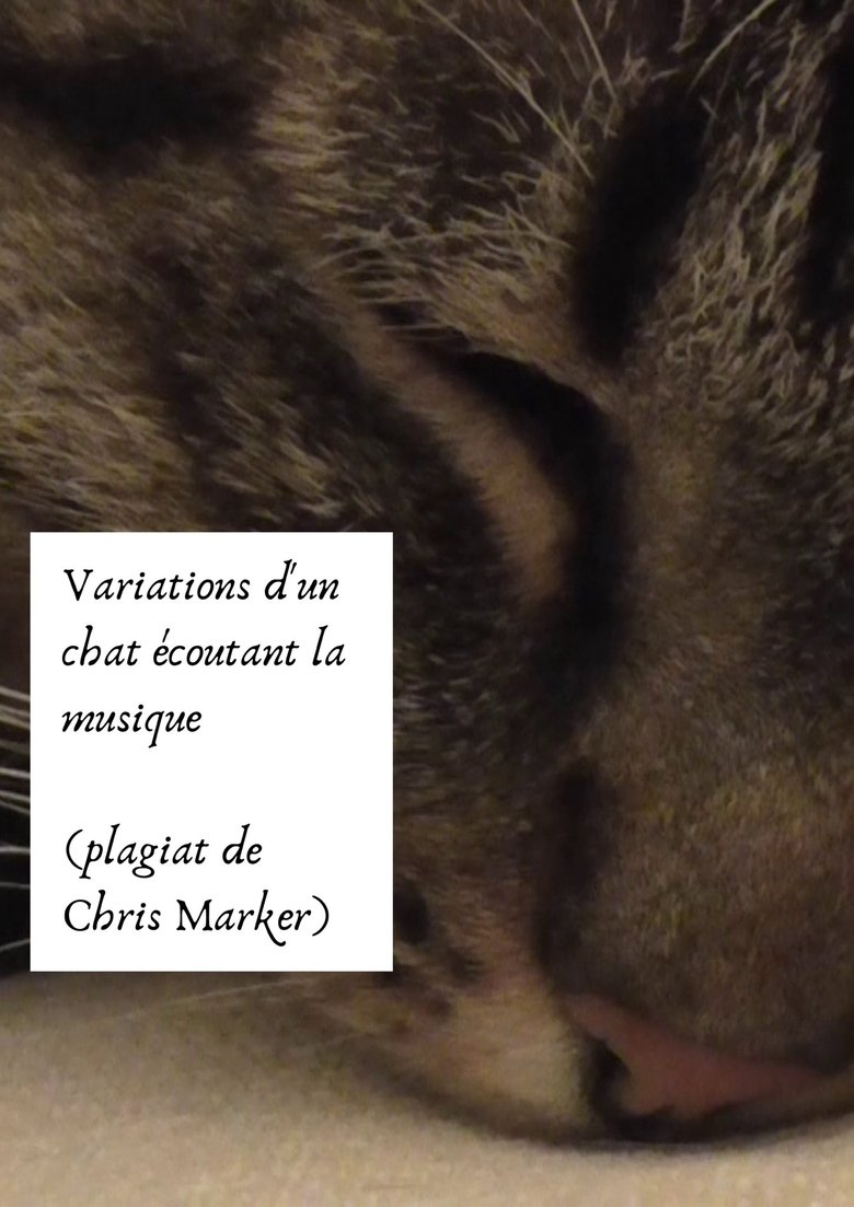 Poster of Variations of a cat listening to music (Chris Marker plagiarism)
