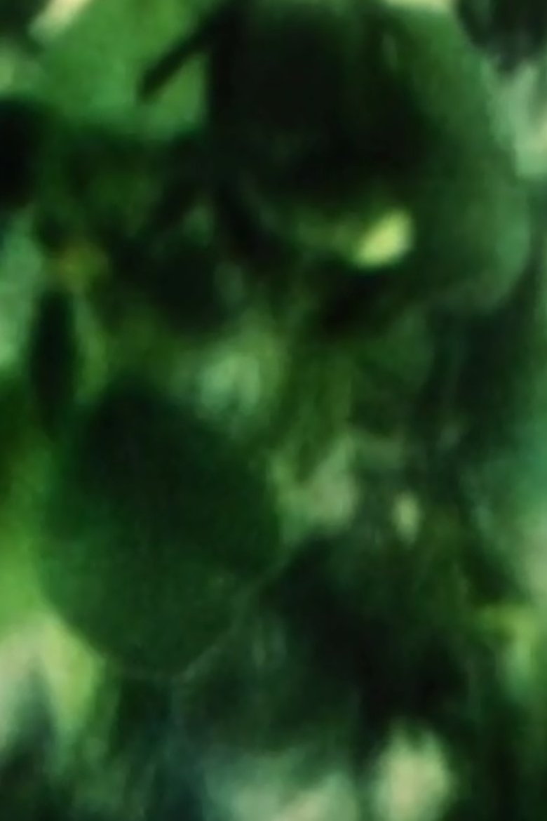 Poster of Plum Tree Zoom