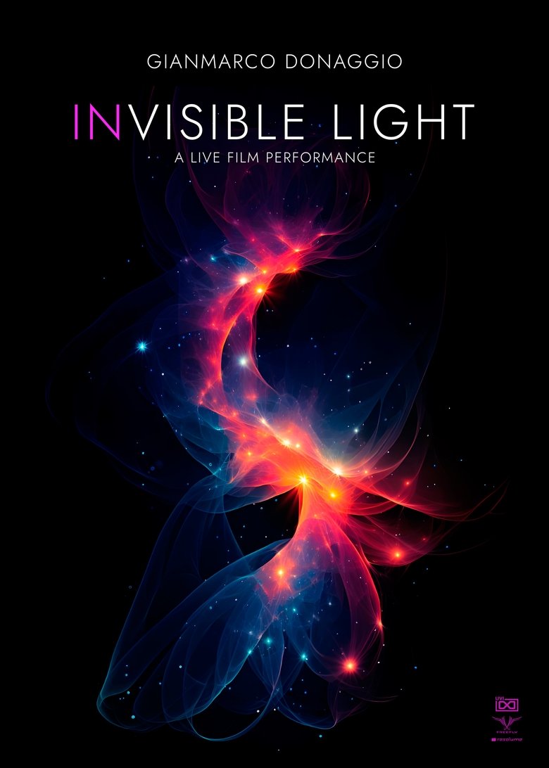 Poster of In Visible Light