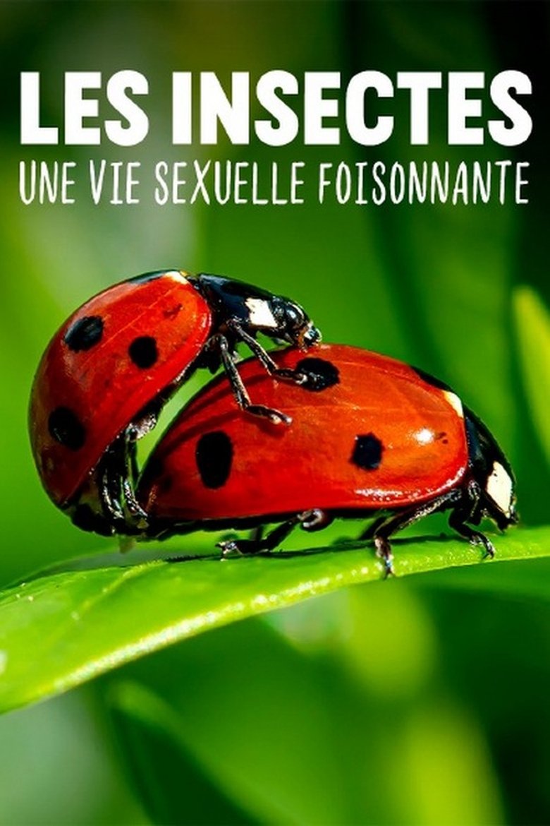 Poster of Les insectes, une vie sexuelle foisonnante