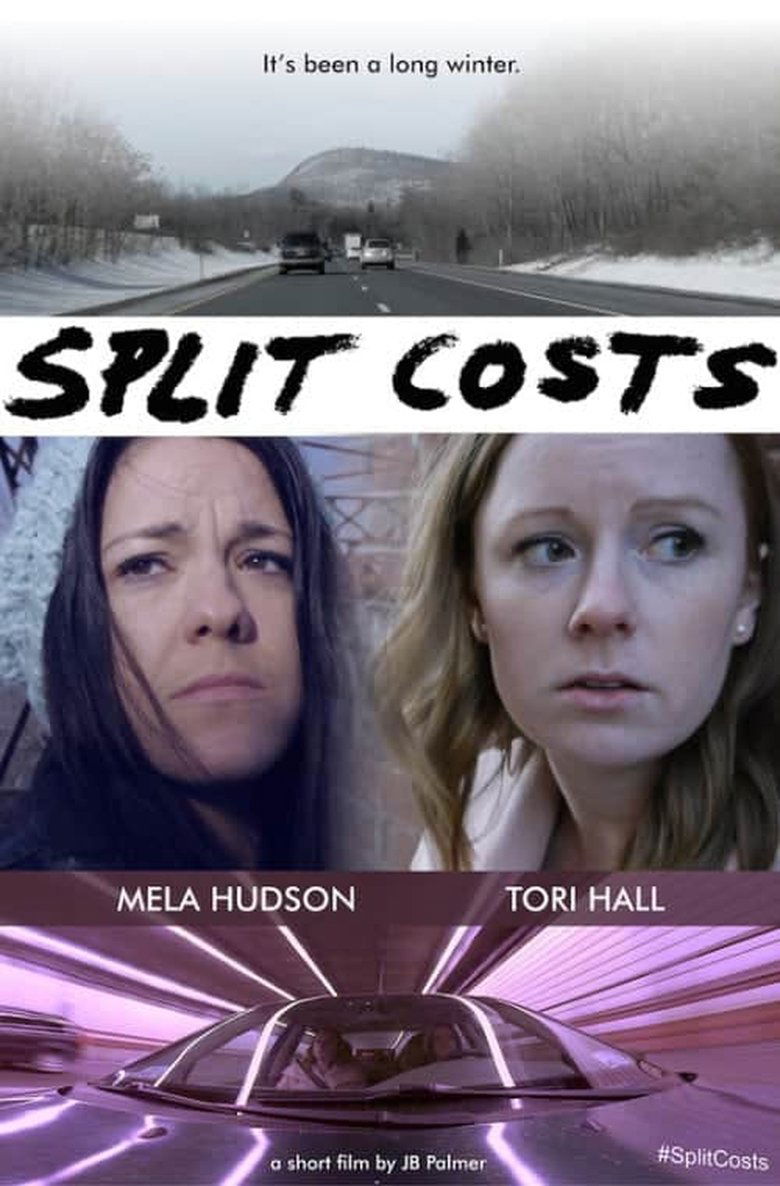 Poster of Split Costs