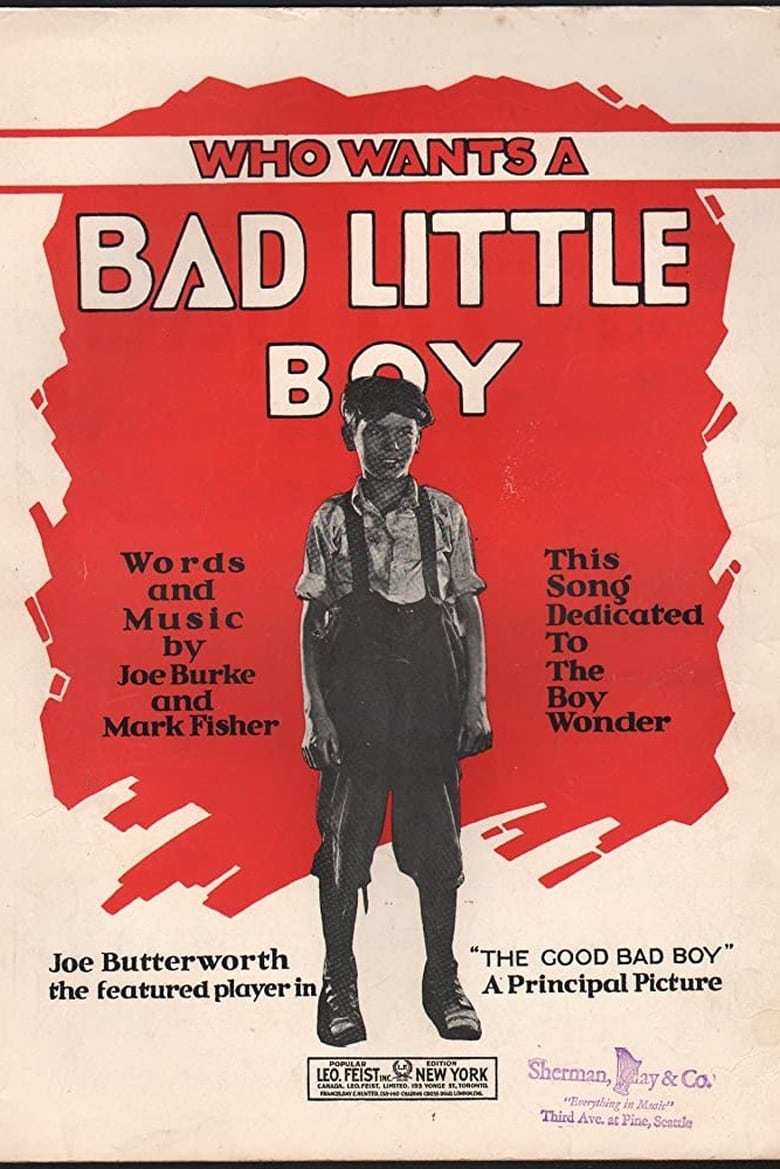 Poster of The Good Bad Boy