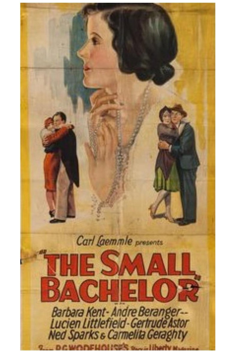 Poster of The Small Bachelor