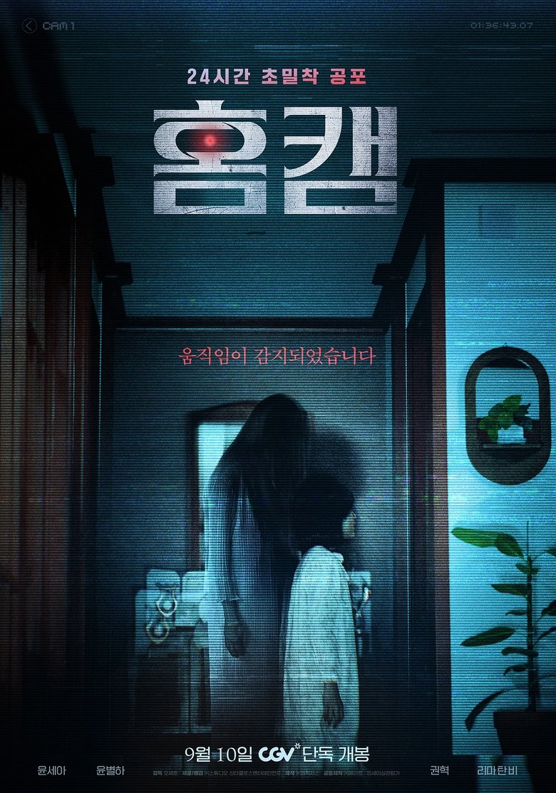 Poster of Homecam