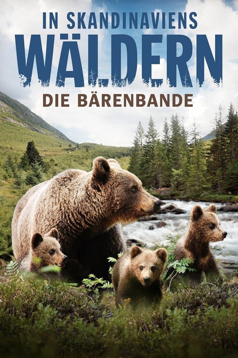Poster of In Skandinaviens Wäldern - Die Bärenbande