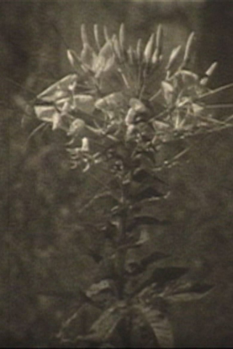 Poster of There Is Tomorrow