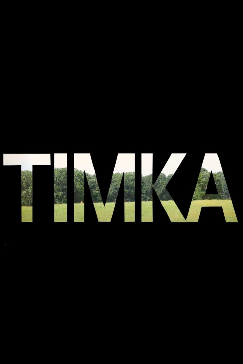 Poster of Timka