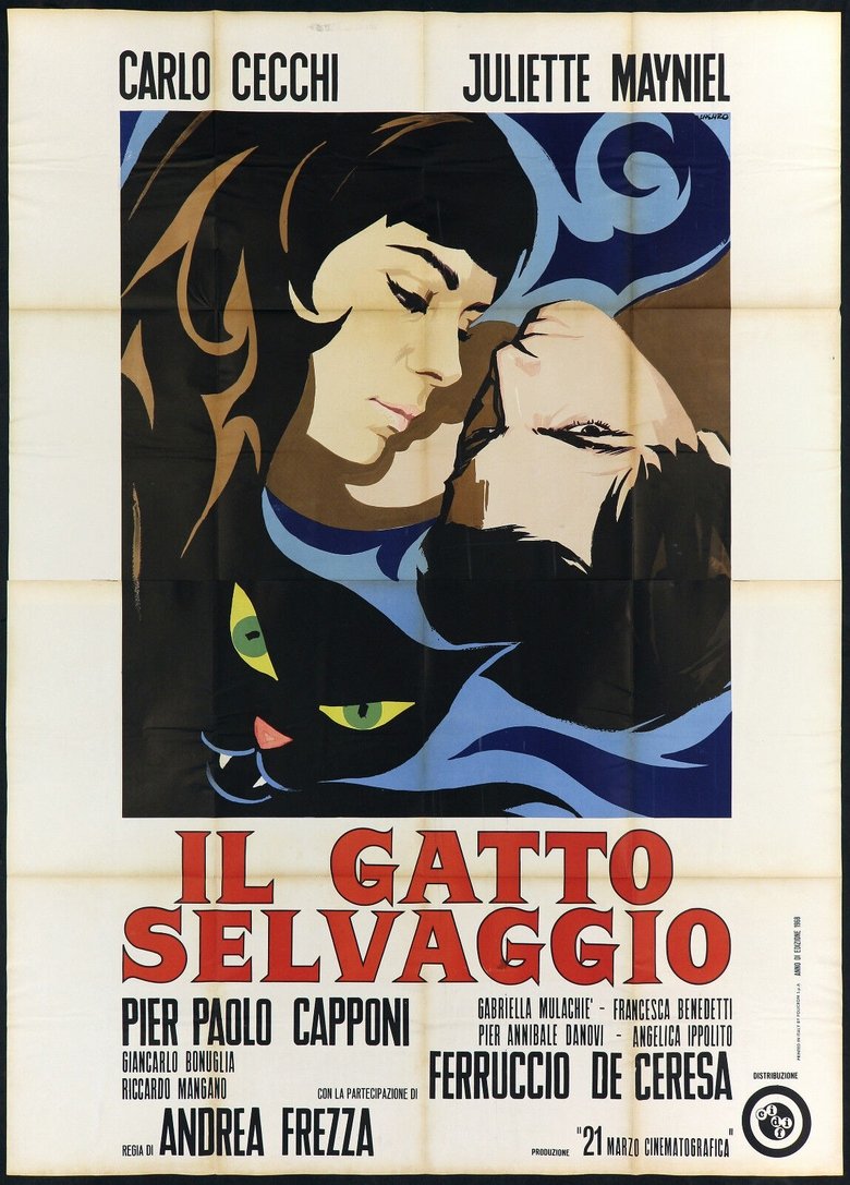 Poster of The Wild Cat