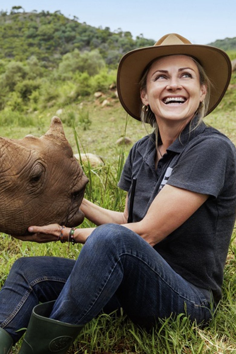 Poster of Wild Life - Rhinos