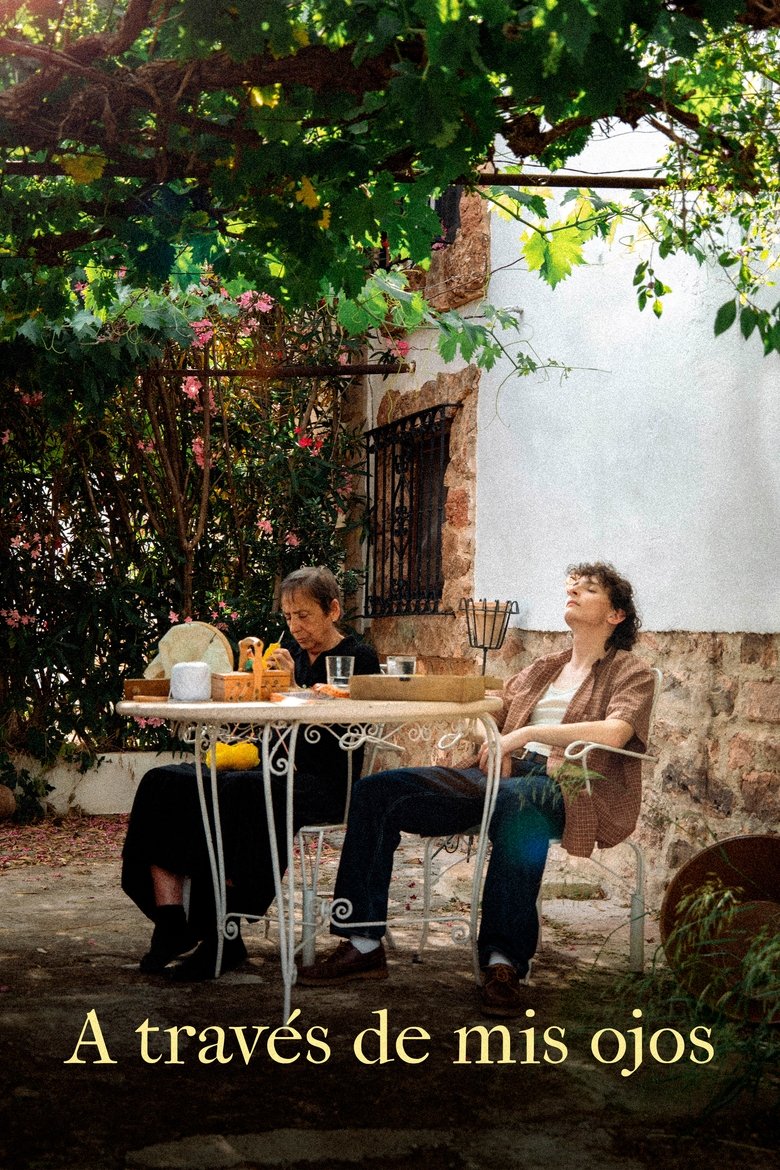 Poster of A través de mis ojos