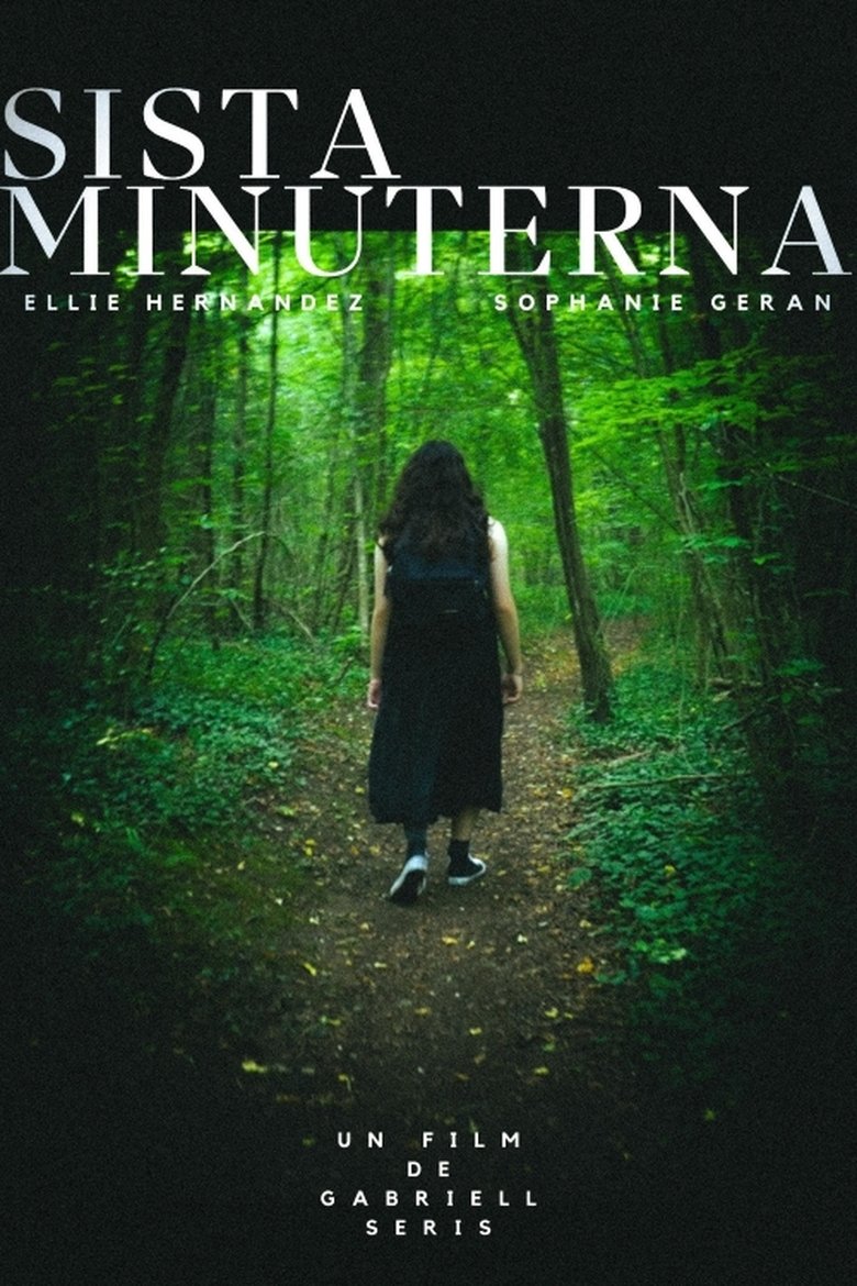 Poster of Sista Minuterna