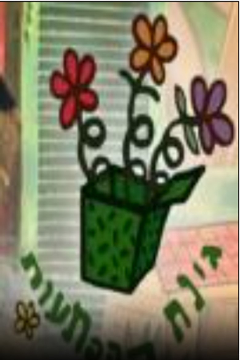 Poster of גינת ההפתעות