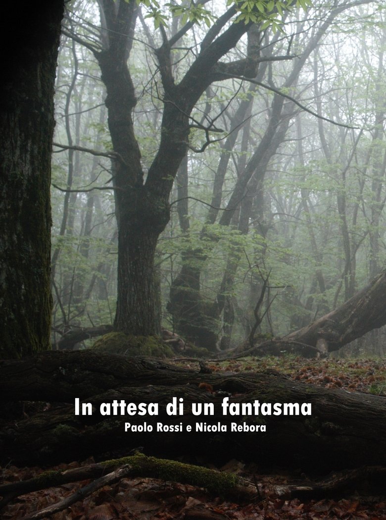 Poster of In attesa di un fantasma