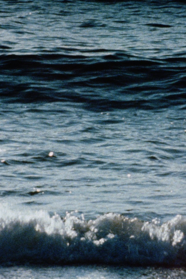 Poster of Red Sea