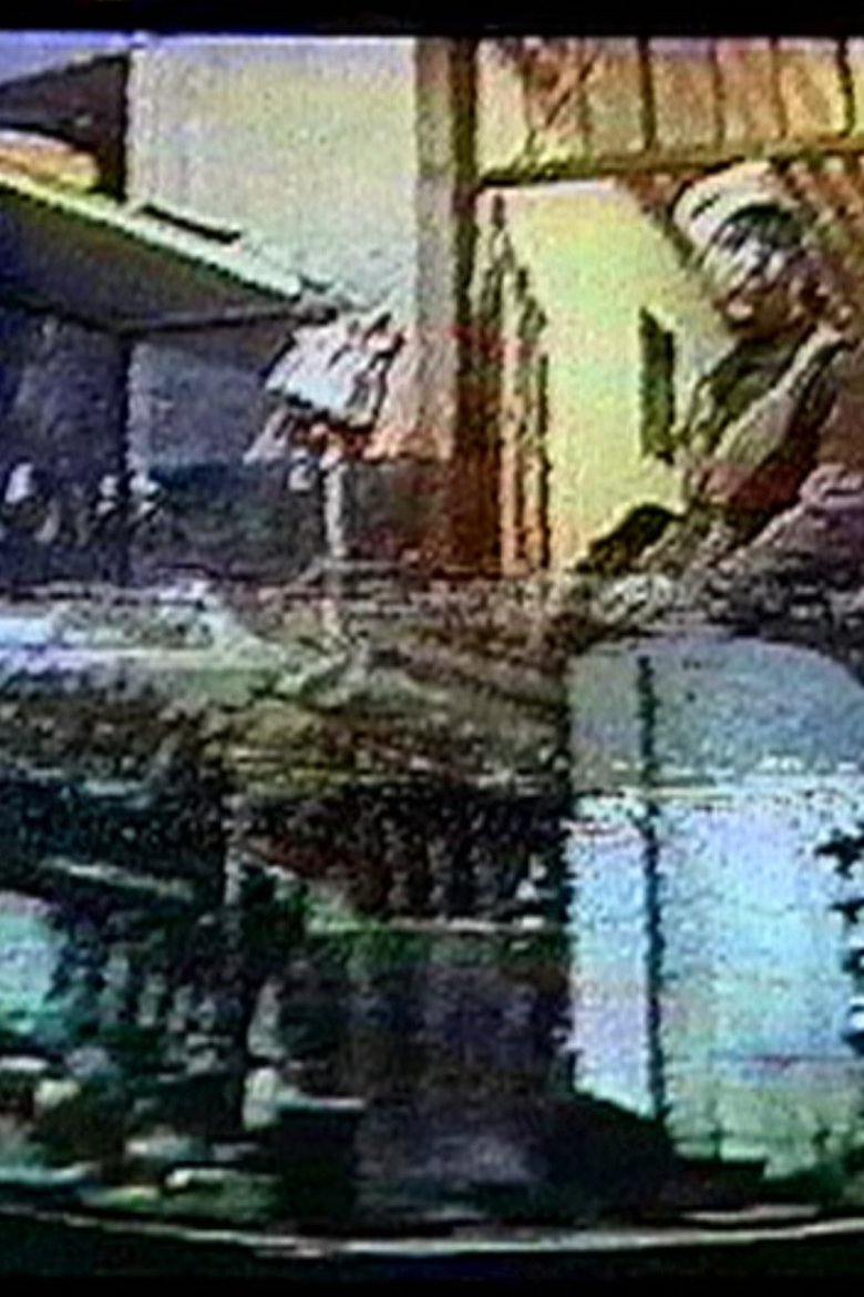 Poster of Confluence