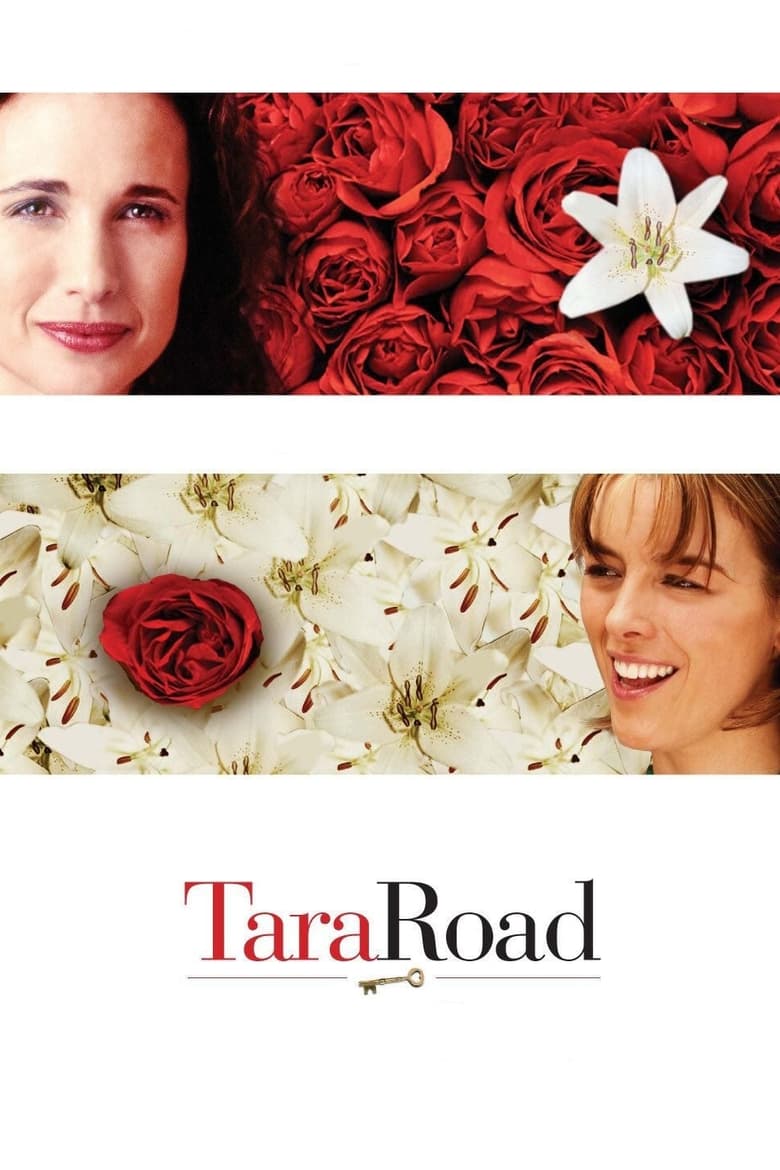 Poster of Tara Road