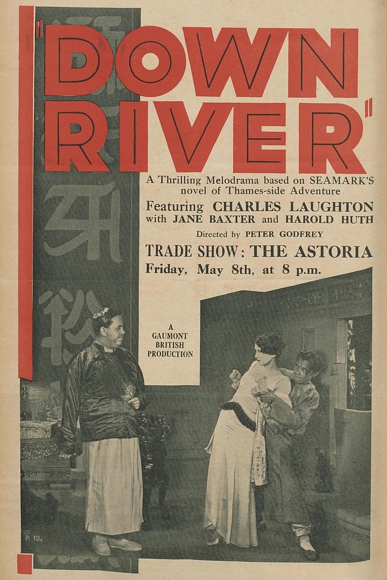Poster of Down River