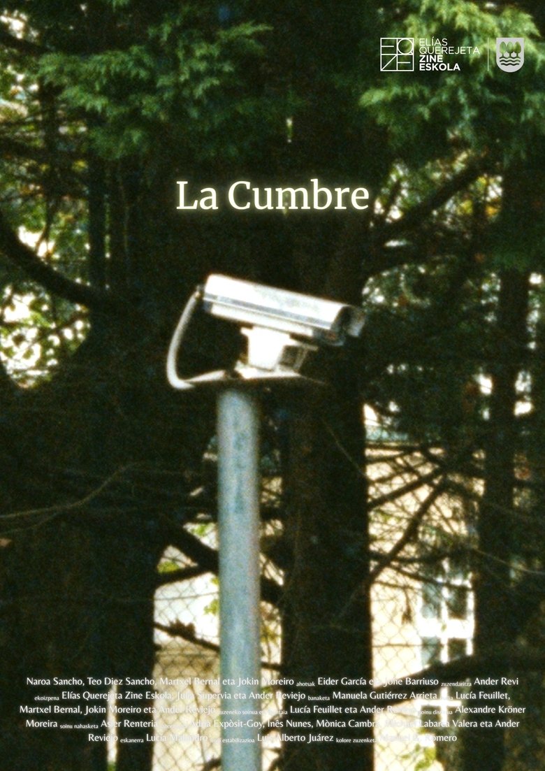 Poster of La cumbre